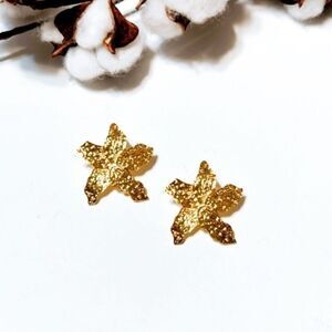 Starfish earrings #1447